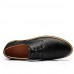 Men's Spring / Summer / Fall / Winter Comfort / Round Toe / Closed Toe Leather Office & Career / Casual Flat Heel Lace-upBlack / Blue /  