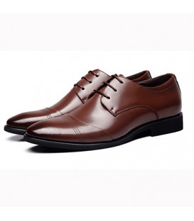 Men's Spring / Summer / Fall / Winter Closed Toe Leather Outdoor / Office & Career Black / Brown  