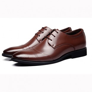 Men's Spring / Summer / Fall / Winter Closed Toe Leather Outdoor / Office & Career Black / Brown  